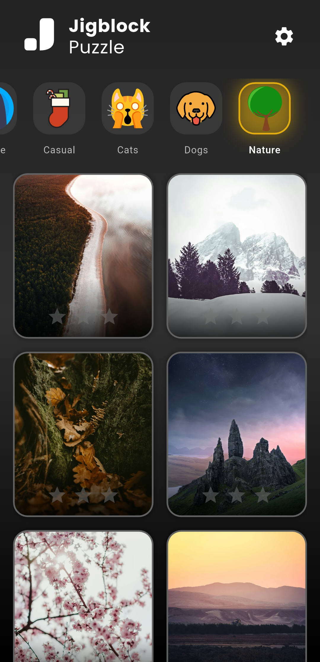 Jigblock nature puzzle